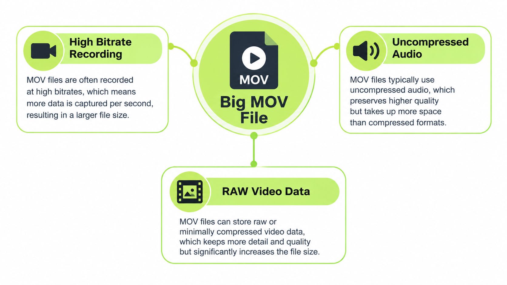 A diagram explaining why MOV files are large, highlighting high bitrate, uncompressed audio, and RAW video data.